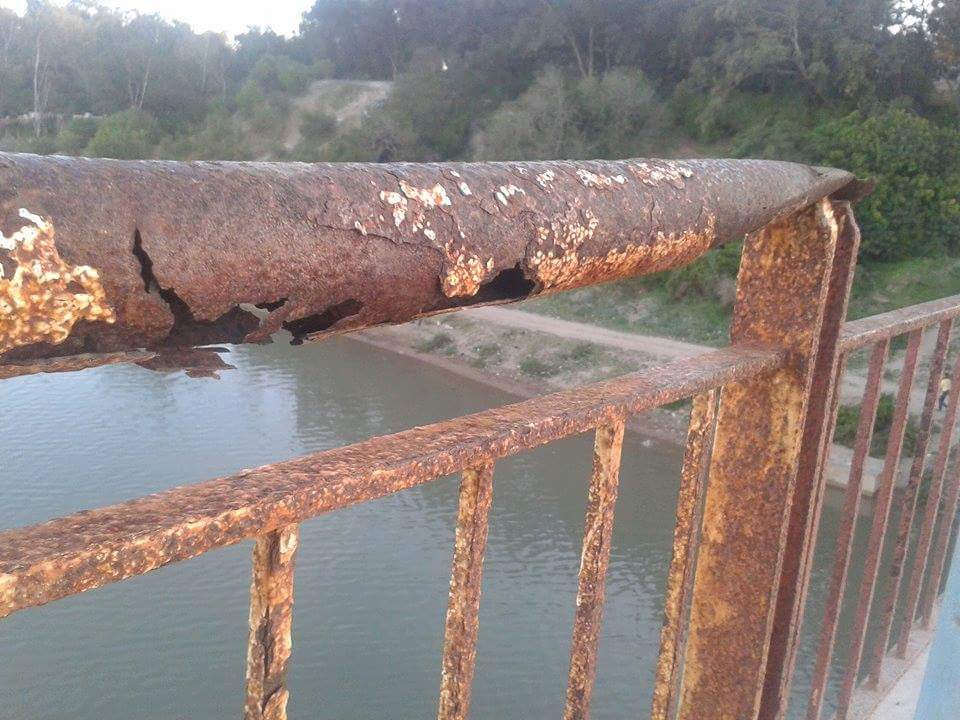 received_10207905021597245