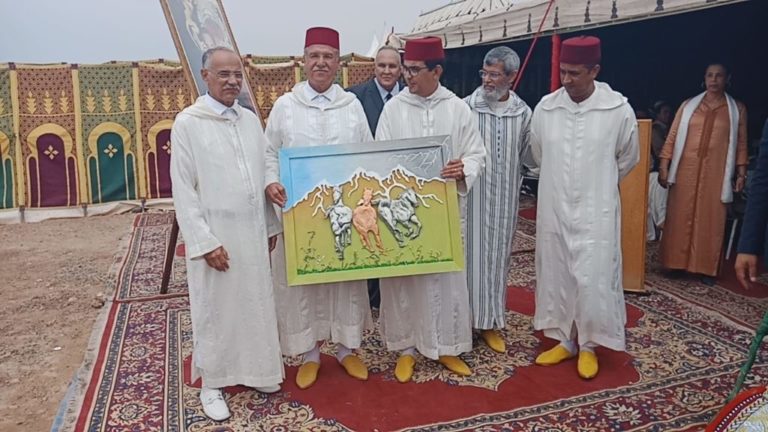 صيد الكاميرا