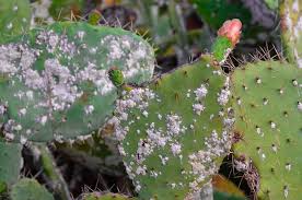 téléchargement (2)