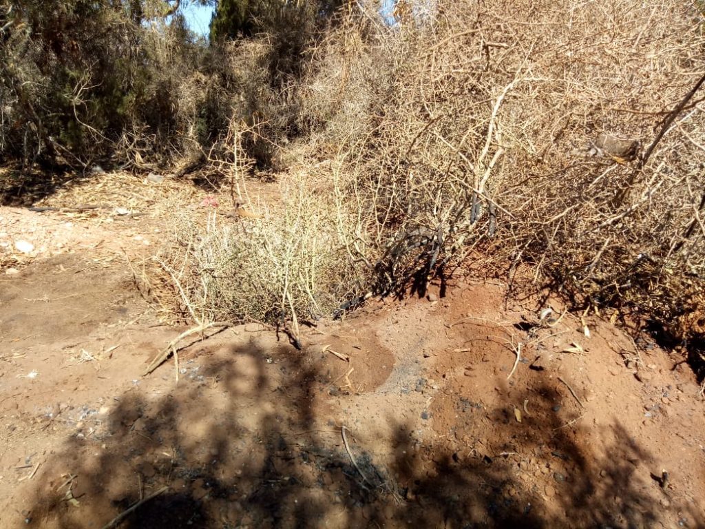 IMG-20201013-WA0088-1024x768