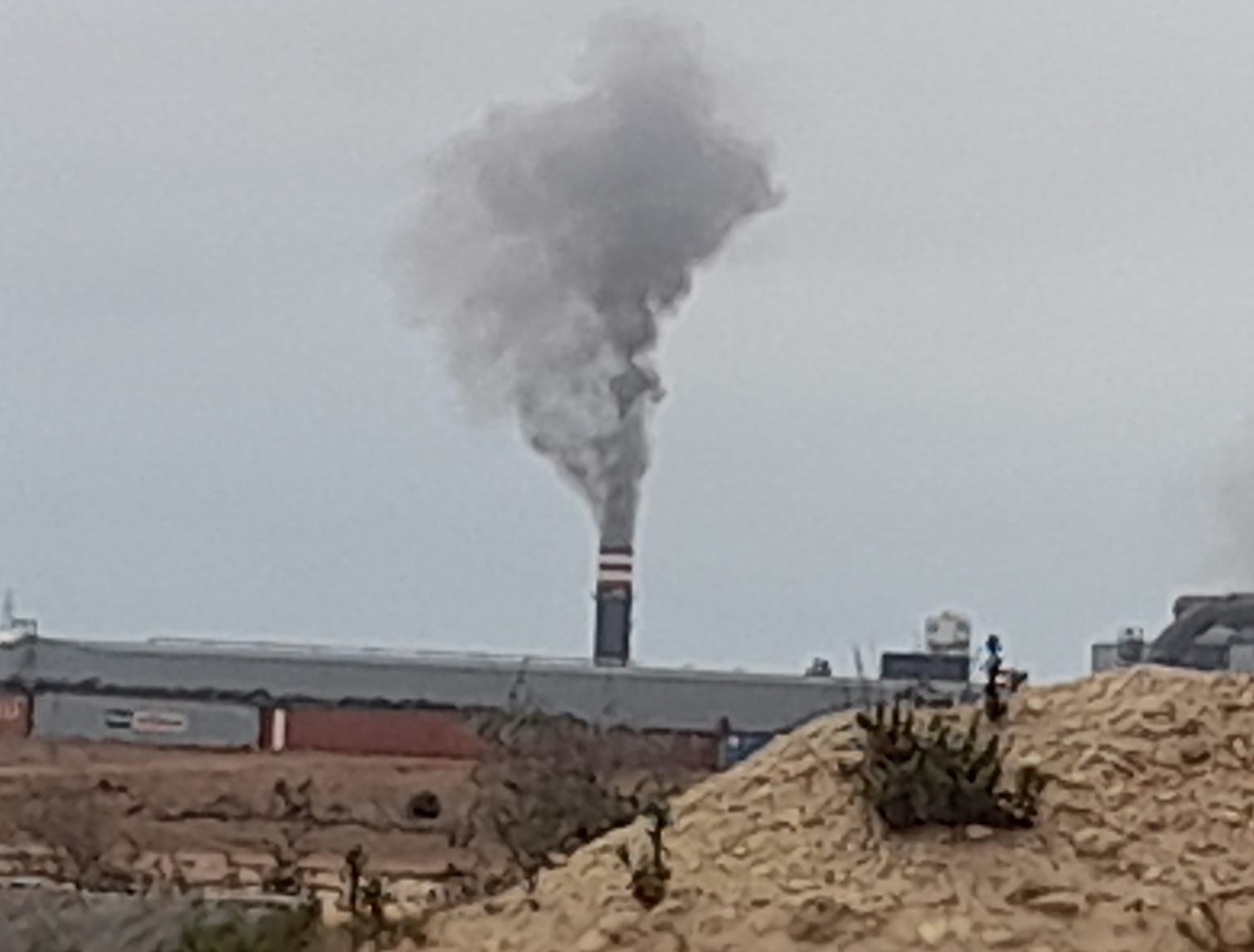 IMG-20220806-WA0018-1