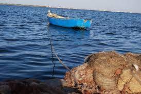 téléchargement (2)