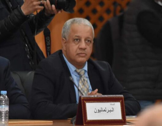 660fdf913f06a-528x410