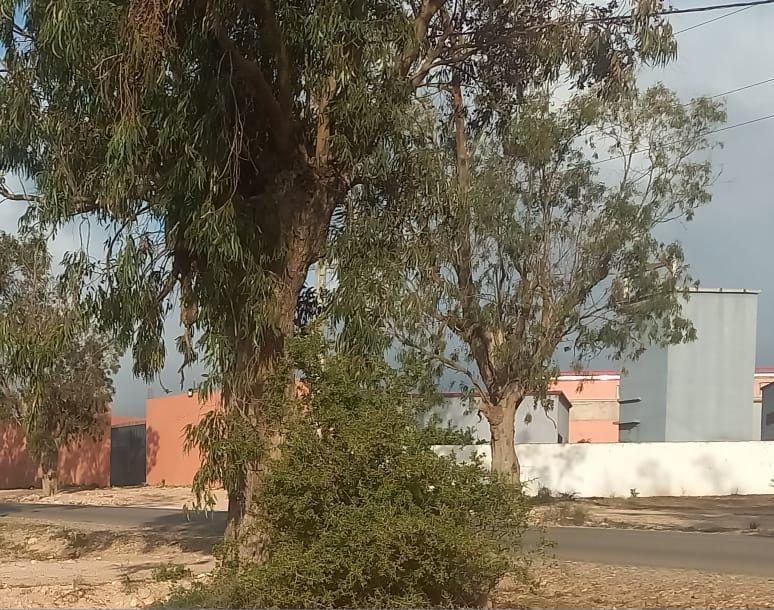 4e39b2c2-75ce-4478-9469-a26d11e14a0c